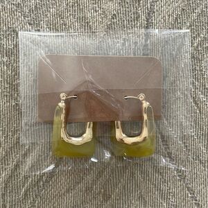 U Shaped Resin Hoop Earrings, 1.2" x 0.9", Stainless Steel Posts